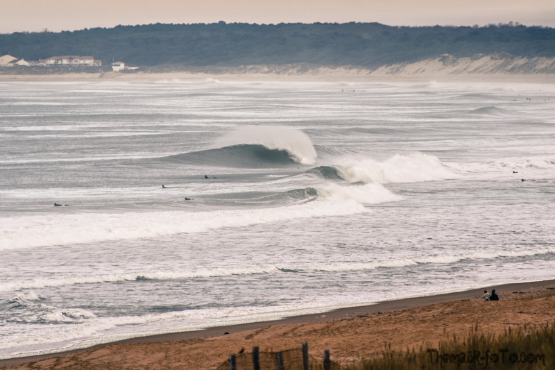V_171018_800px-7.jpg