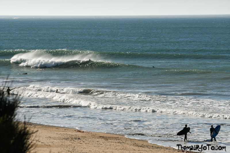 R_131018_800px-3.jpg R_131018_800px-3.jpg
