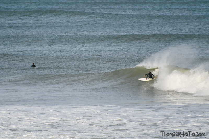 R_131018_800px-19.jpg R_131018_800px-19.jpg