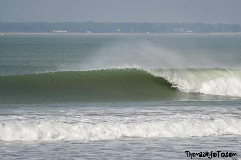 V_1018_800px-40.jpg