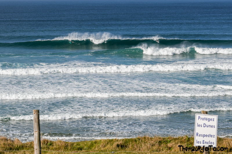 B_1018_800px-35.jpg B_1018_800px-35.jpg