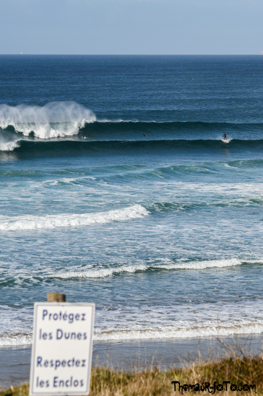 B_1018_800px-38.jpg B_1018_800px-38.jpg