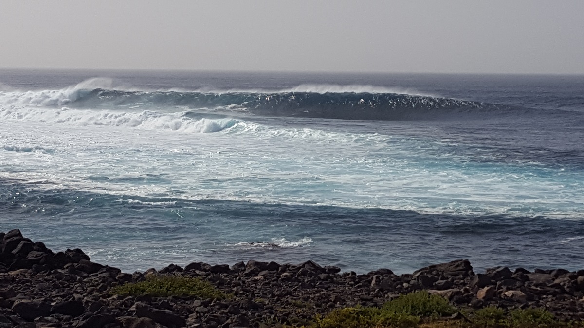 20190223_165142.jpg