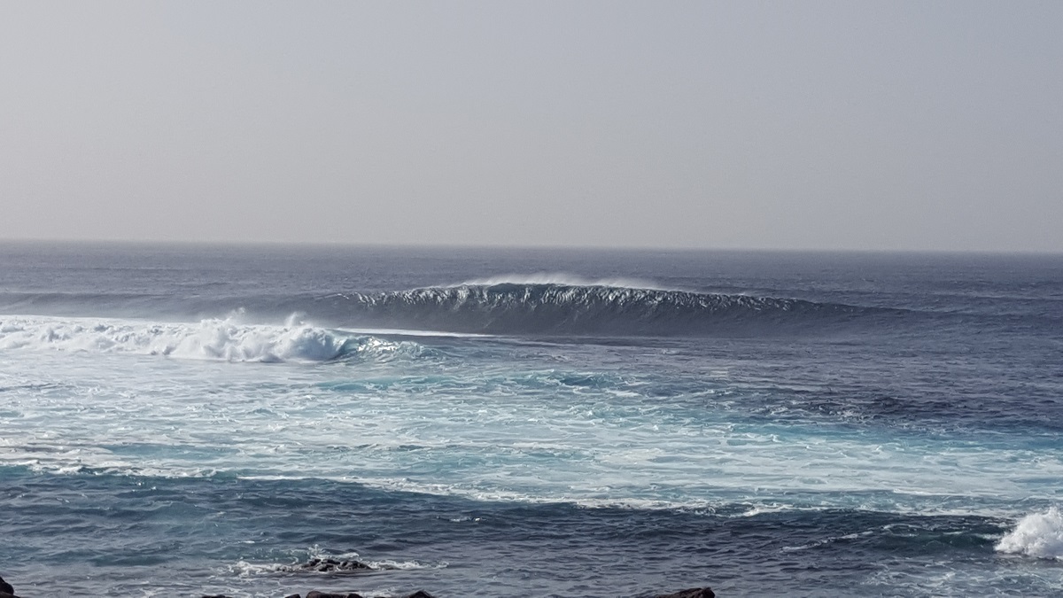 20190223_165156.jpg
