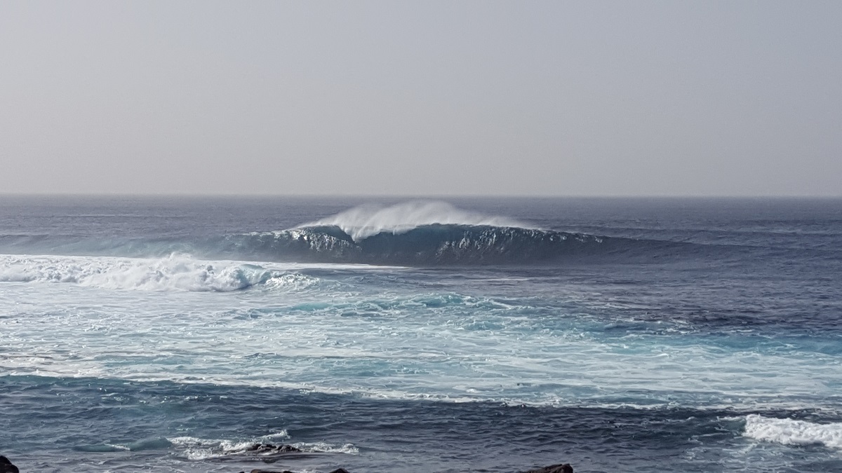 20190223_165157.jpg