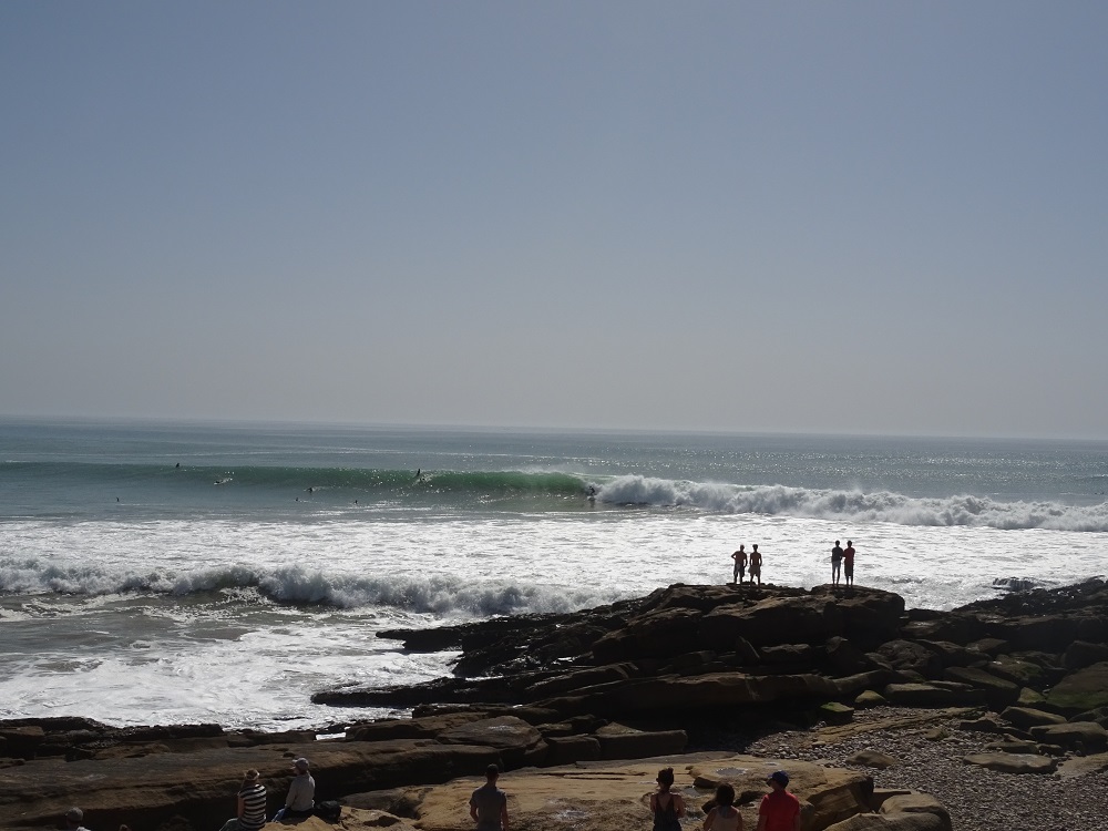 DSC00551.JPG DSC00551.JPG