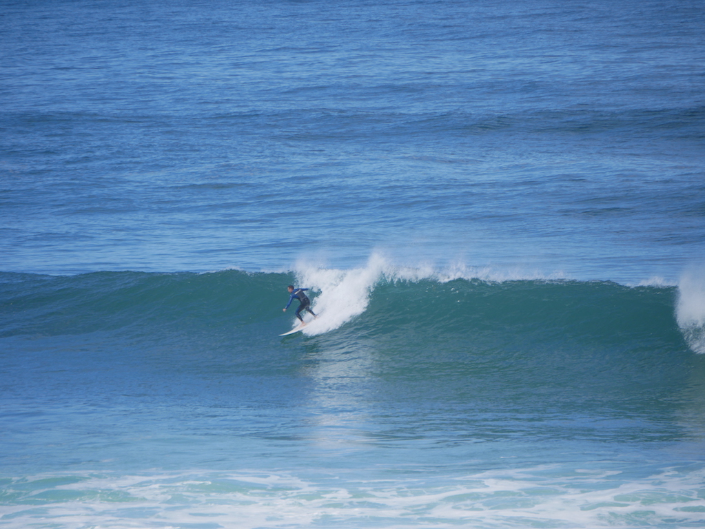 bibi en droite / P1020709.JPG P1020709.JPG