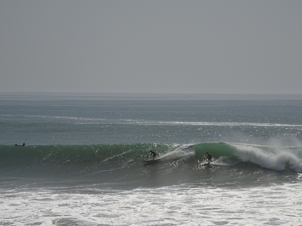 DSC00555.JPG