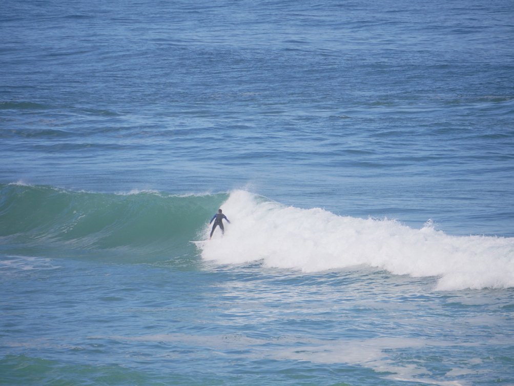 P1020721.JPG P1020721.JPG