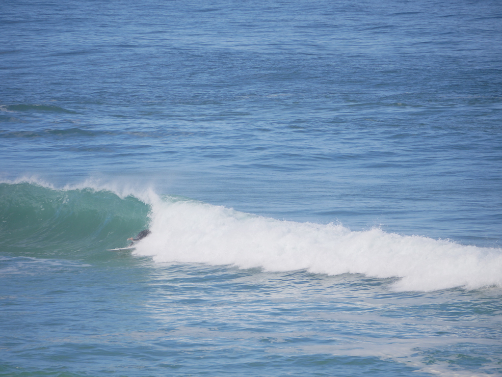 bibi décroche... / P1020722.JPG P1020722.JPG