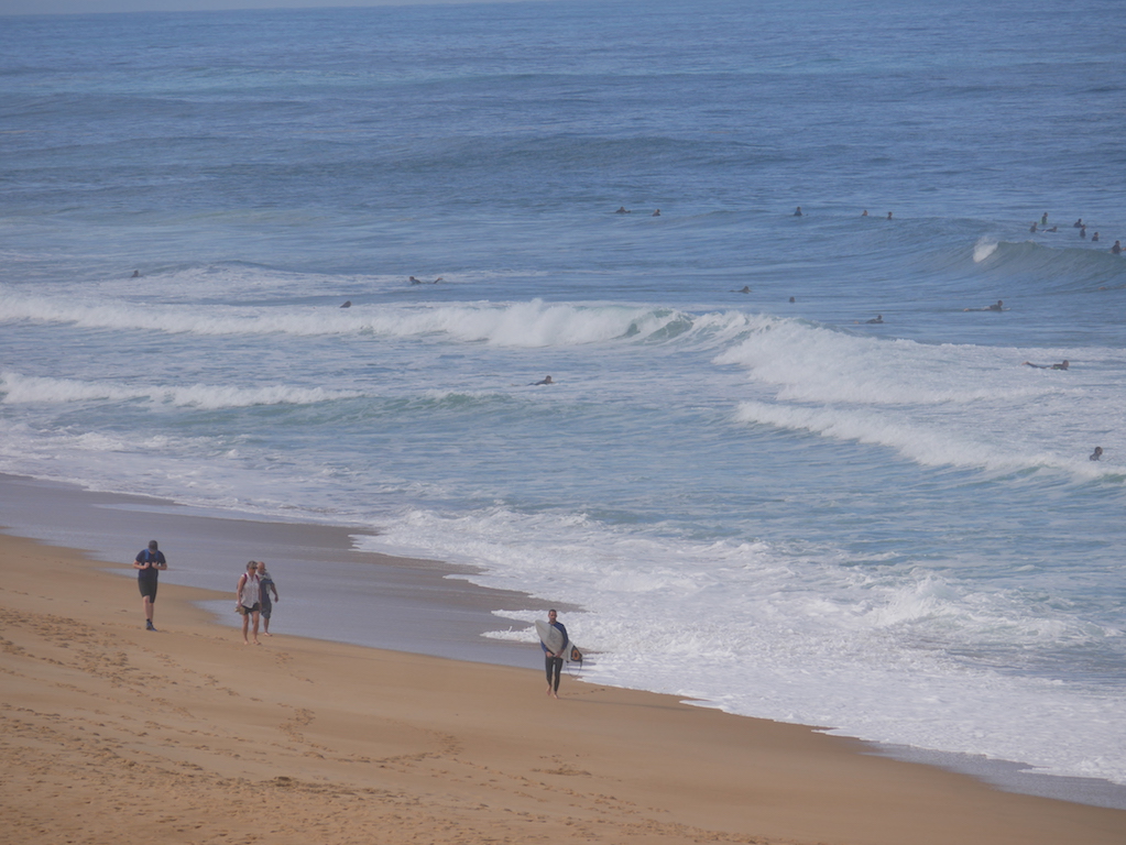 P1020730.JPG P1020730.JPG