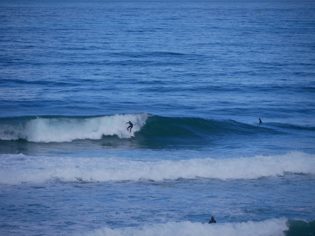 bibi en gauche / P1020776.JPG P1020776.JPG