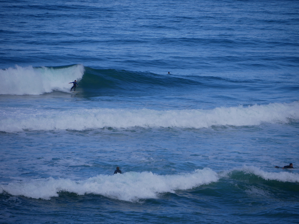 P1020777.JPG P1020777.JPG