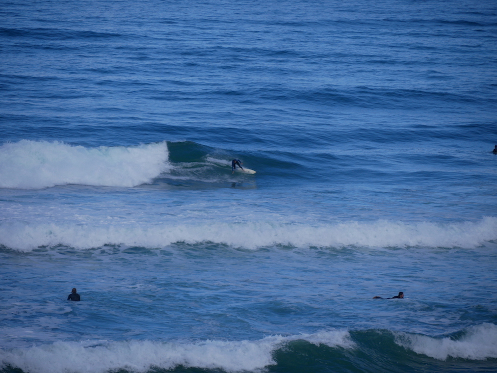 P1020780.JPG P1020780.JPG