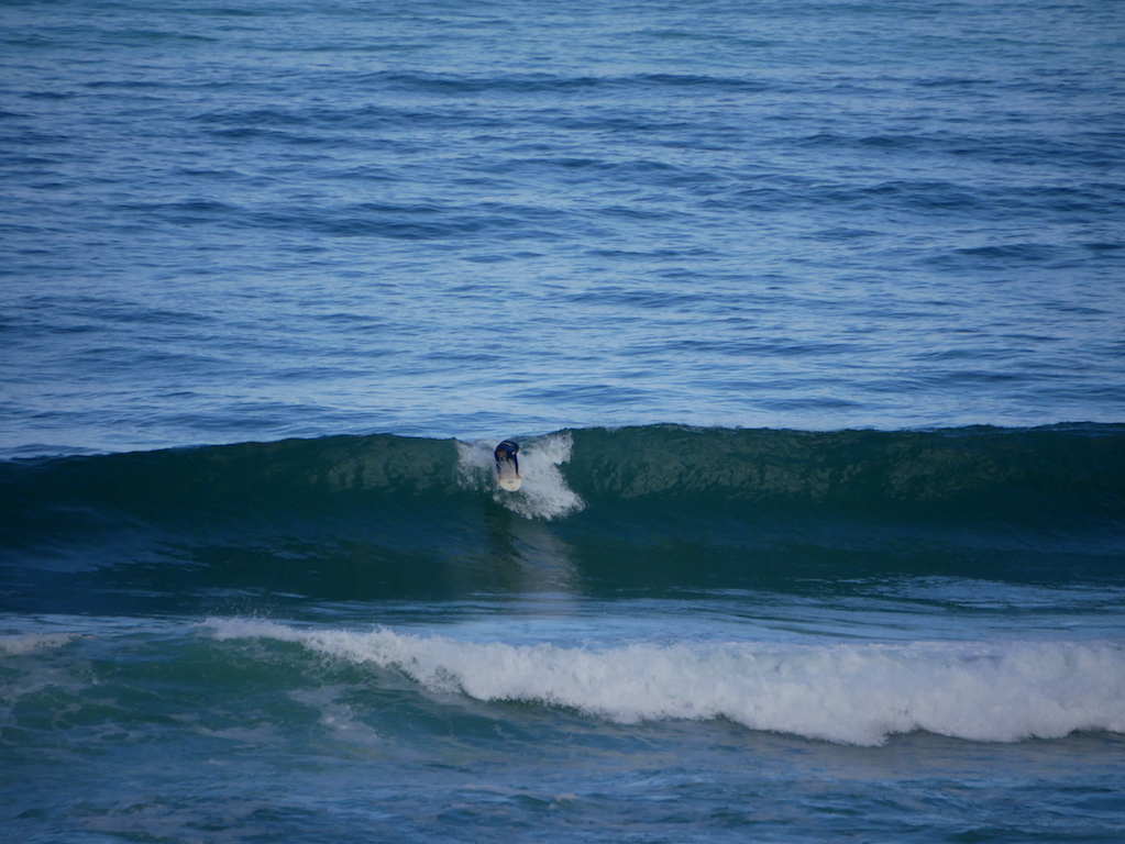 bibi en droite / P1020795.JPG P1020795.JPG