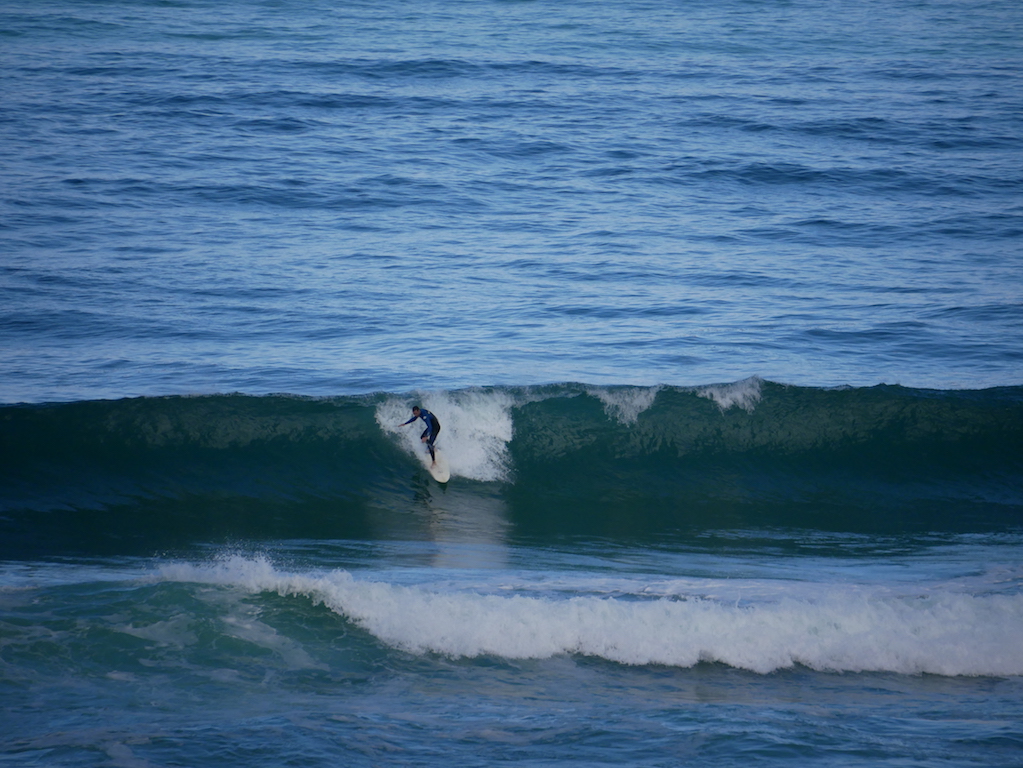 P1020796.JPG P1020796.JPG