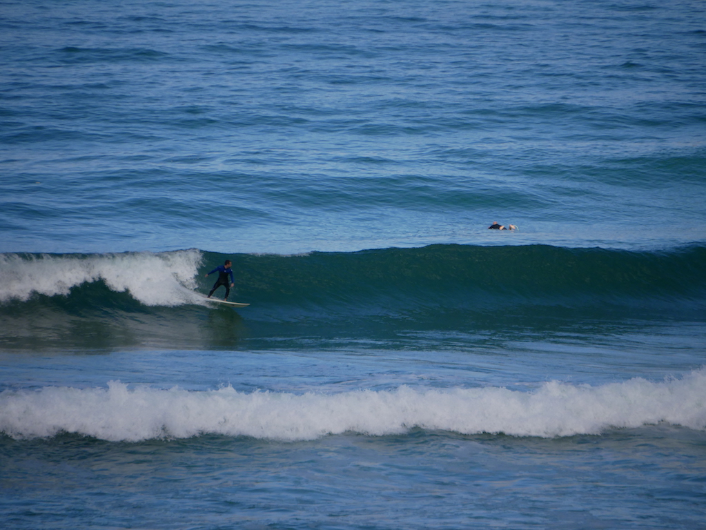 bibi en gauche / P1020787.JPG P1020787.JPG