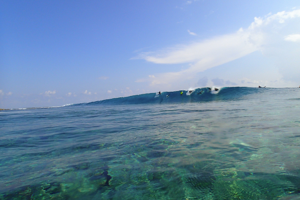 Maldives2019- (57).jpg