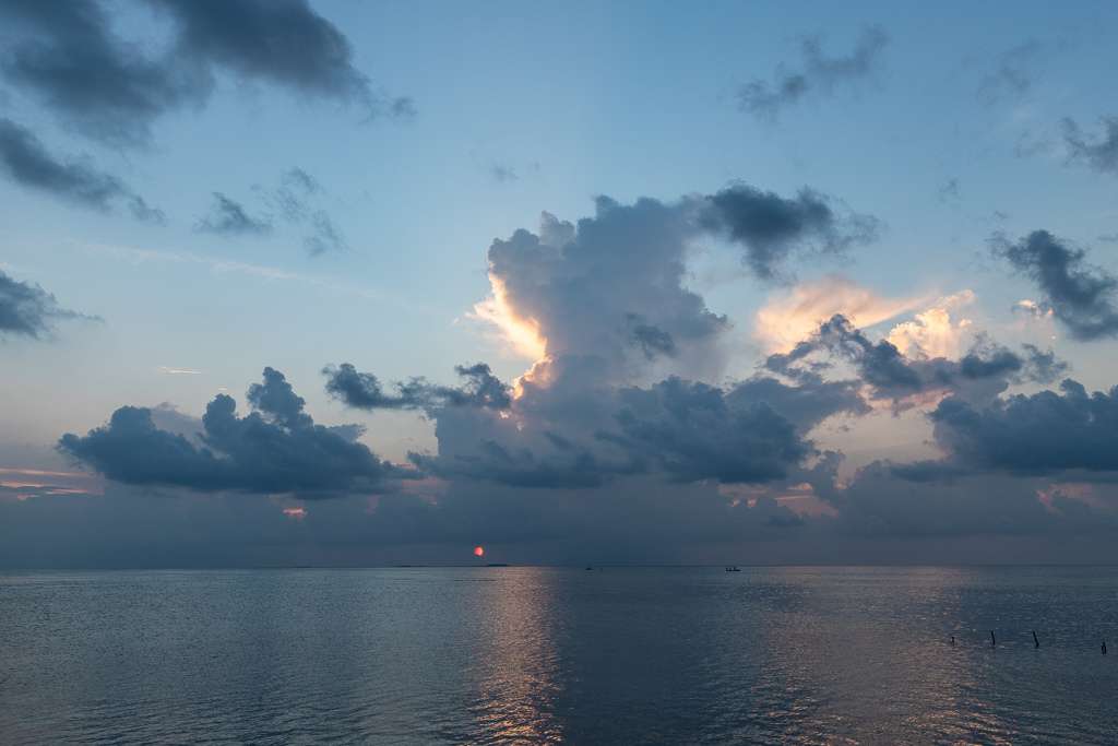Maldives2019- (8).jpg