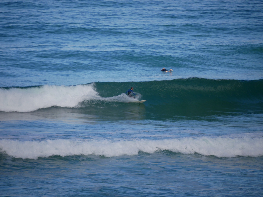 P1020788.JPG P1020788.JPG