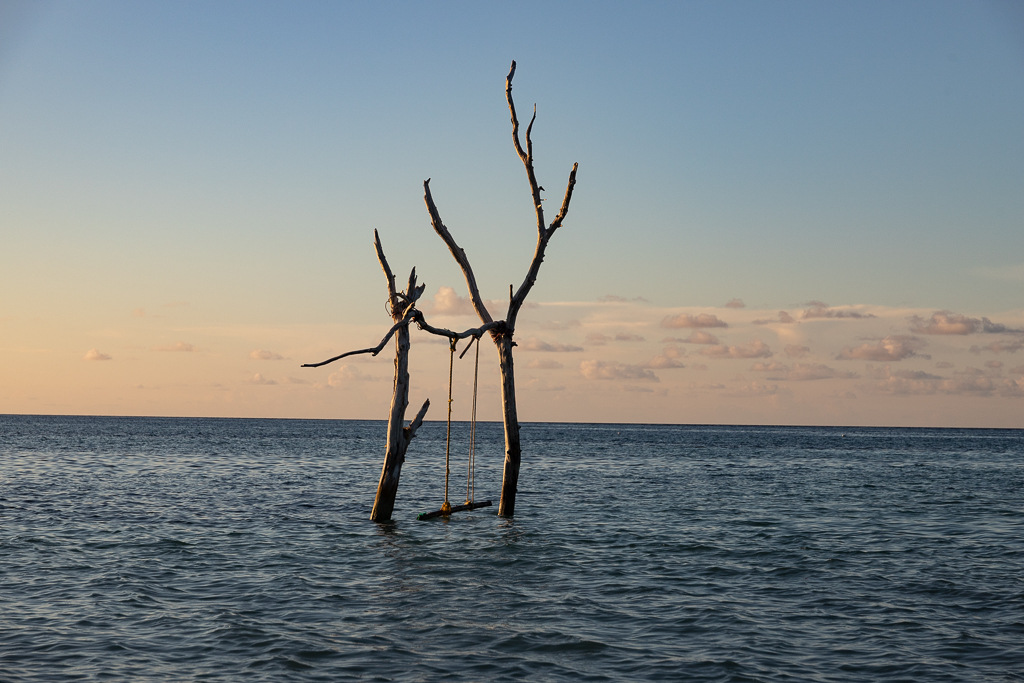 Maldives2019- (17).jpg
