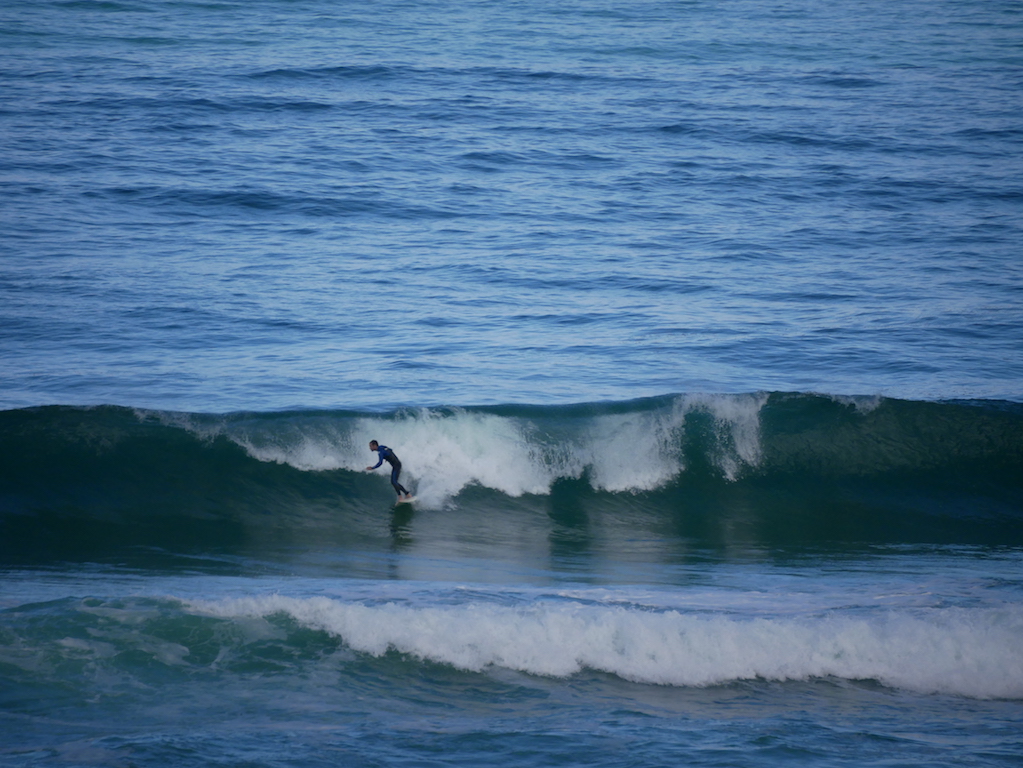 P1020797.JPG P1020797.JPG