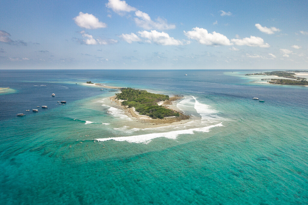Maldives2019- (42).jpg