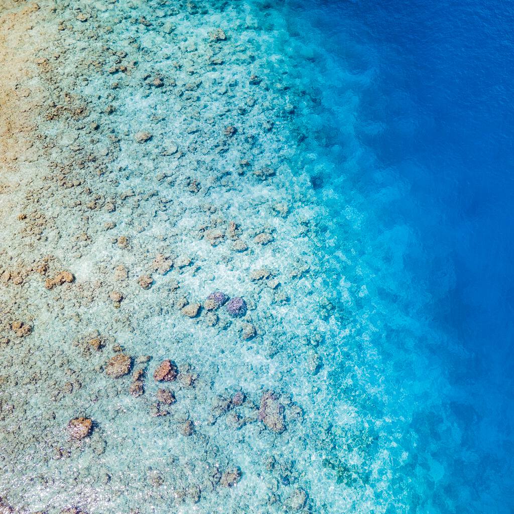 Maldives2019- (45).jpg