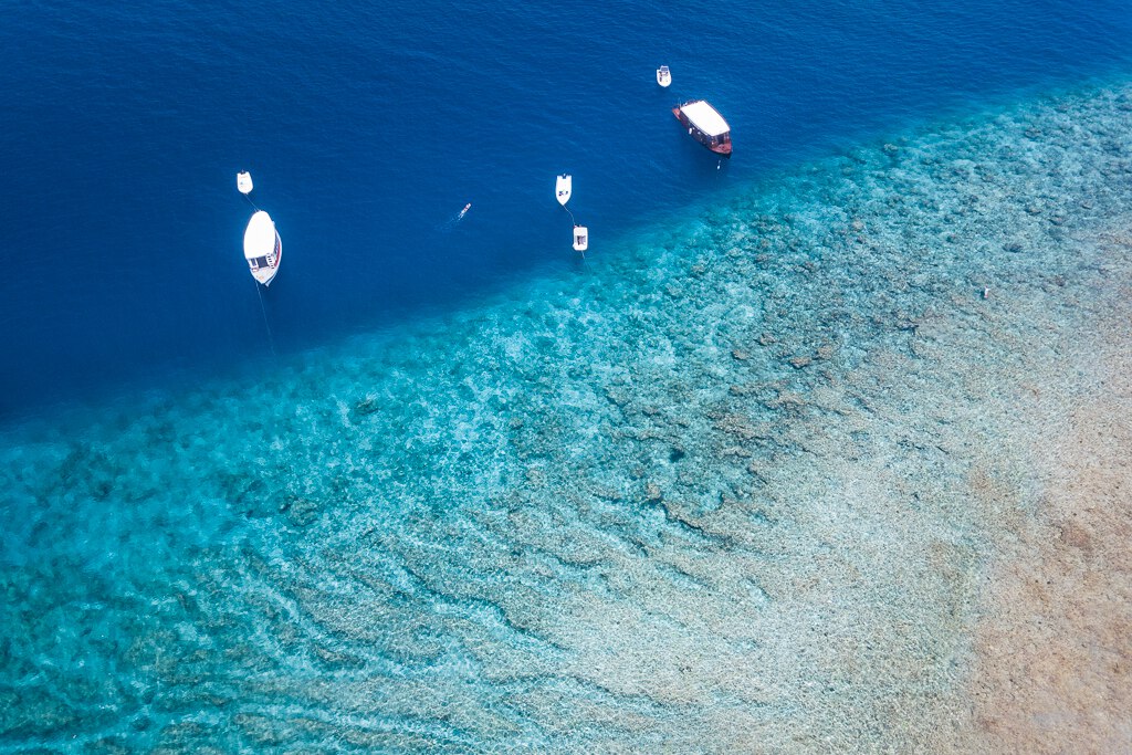 Maldives2019- (50).jpg