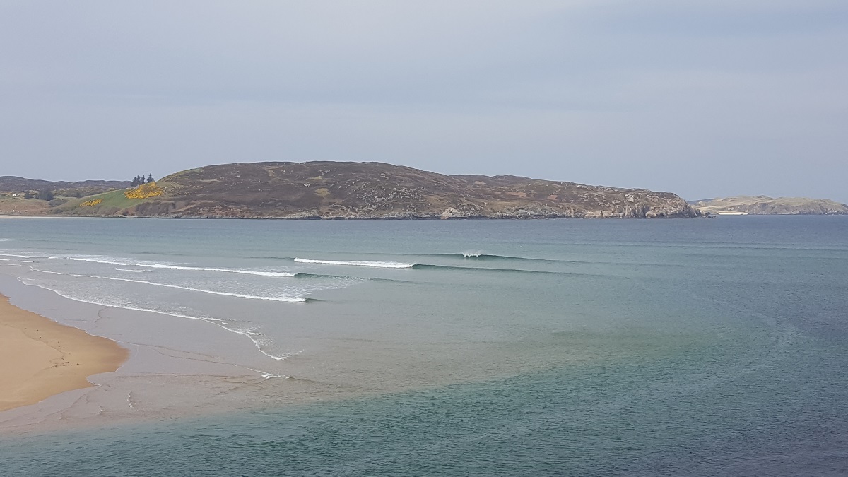 20190423_100212.jpg
