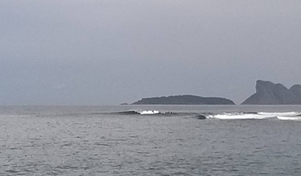 20191021_181846.jpeg