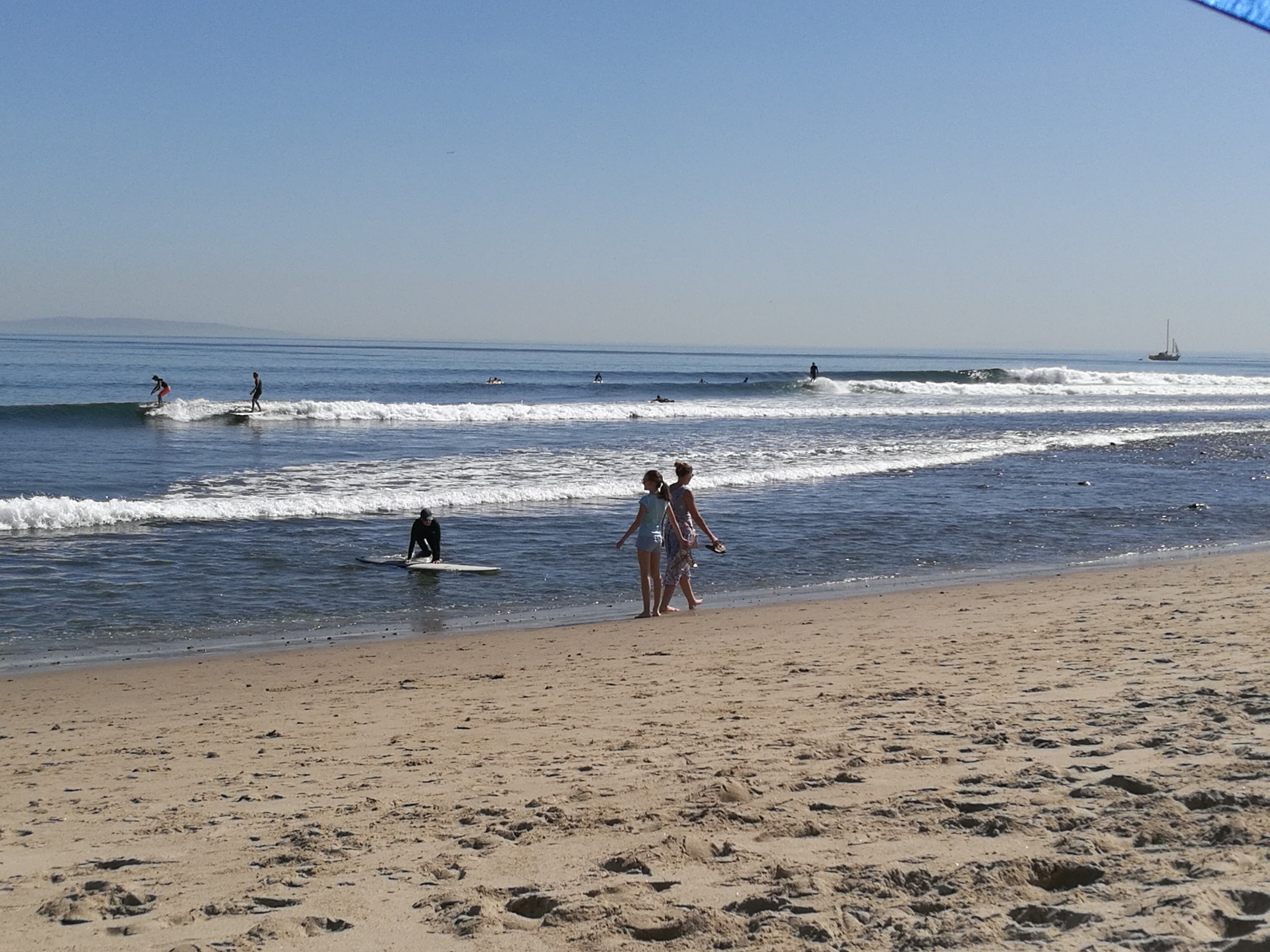 IMG_20191024_133227.jpg IMG_20191024_133227.jpg