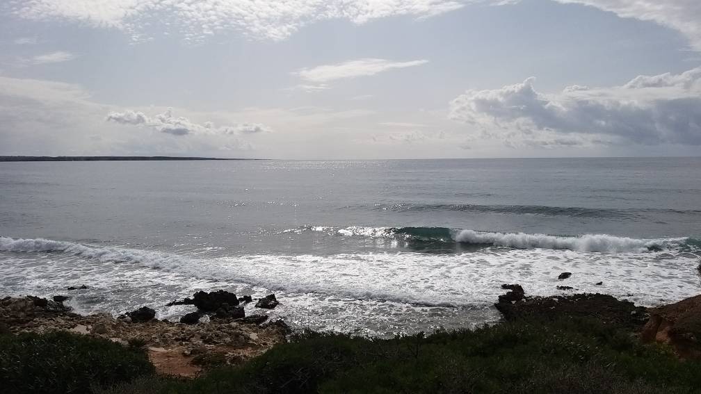 20191024_125548.jpeg 20191024_125548.jpeg