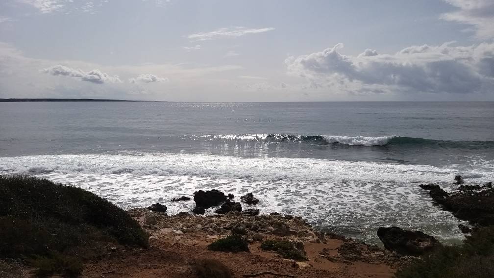 20191024_125705.jpeg 20191024_125705.jpeg