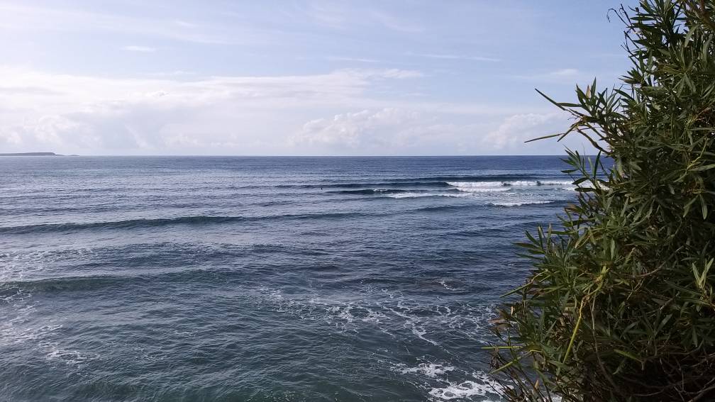 20191024_141347.jpeg 20191024_141347.jpeg