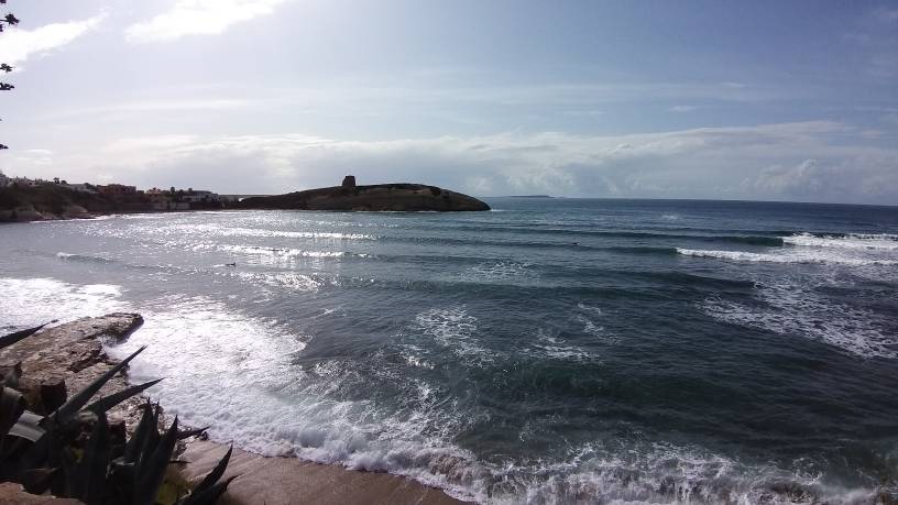 20191024_141616.jpeg 20191024_141616.jpeg