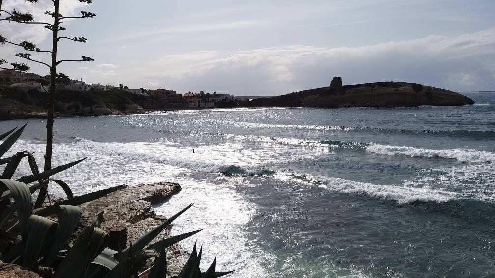 20191024_141631.jpeg 20191024_141631.jpeg