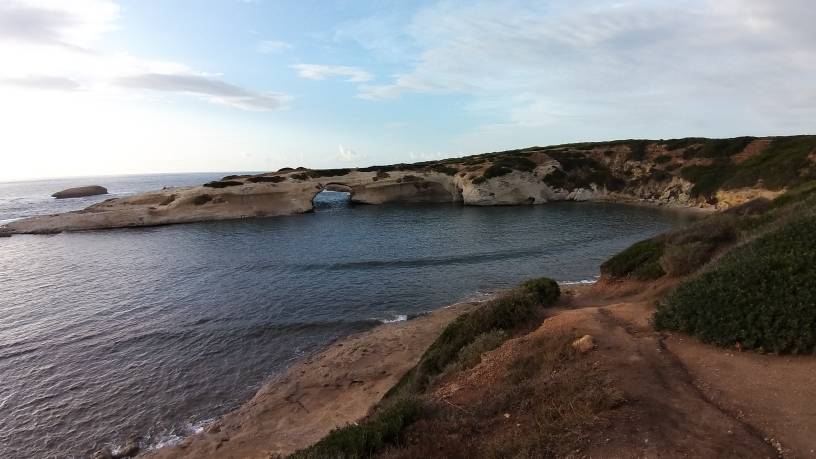 20191024_173304.jpeg 20191024_173304.jpeg