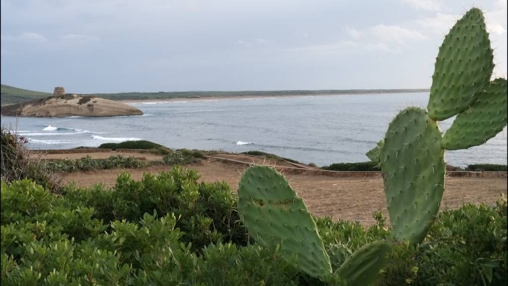 20191024_174459.jpeg 20191024_174459.jpeg