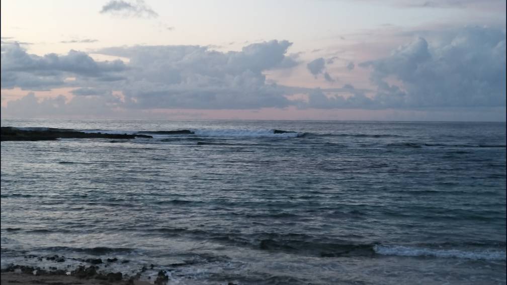 20191024_183934.jpeg 20191024_183934.jpeg