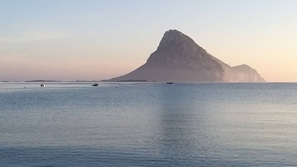 20191028_083208.jpeg