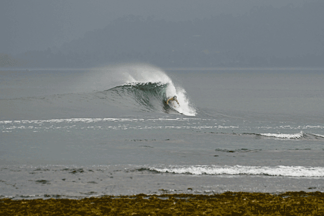 Indo_1019_seq1.gif