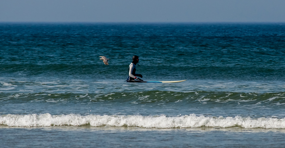 DSC_0184-s.jpg