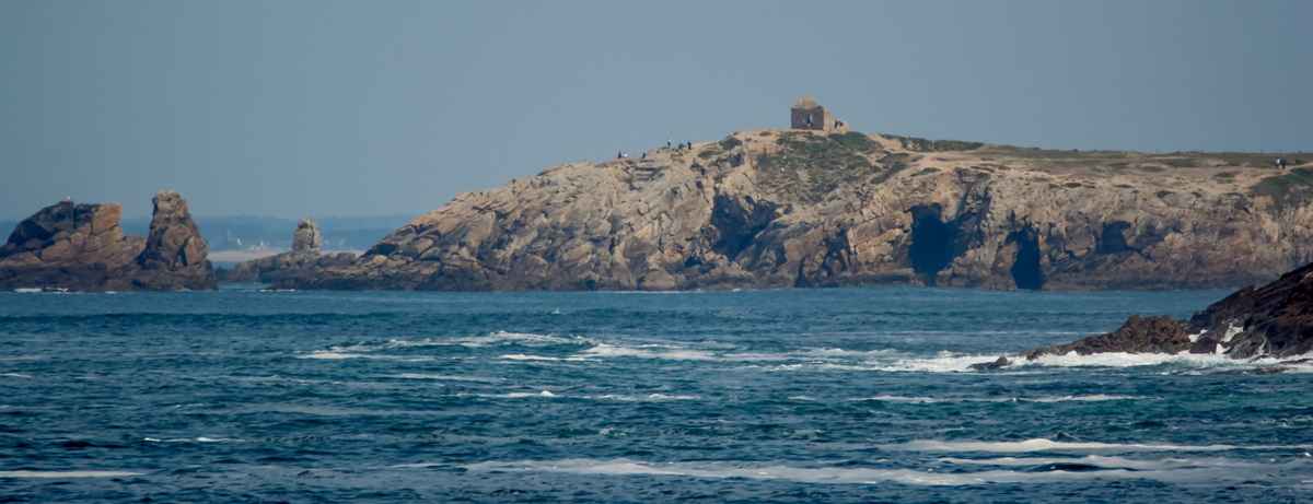 DSC_0229-s.jpg