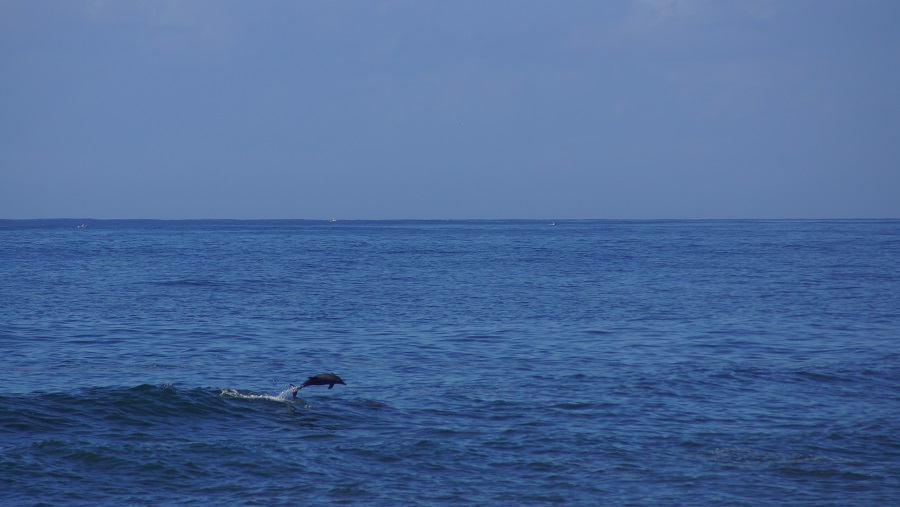 DSC09853.JPG