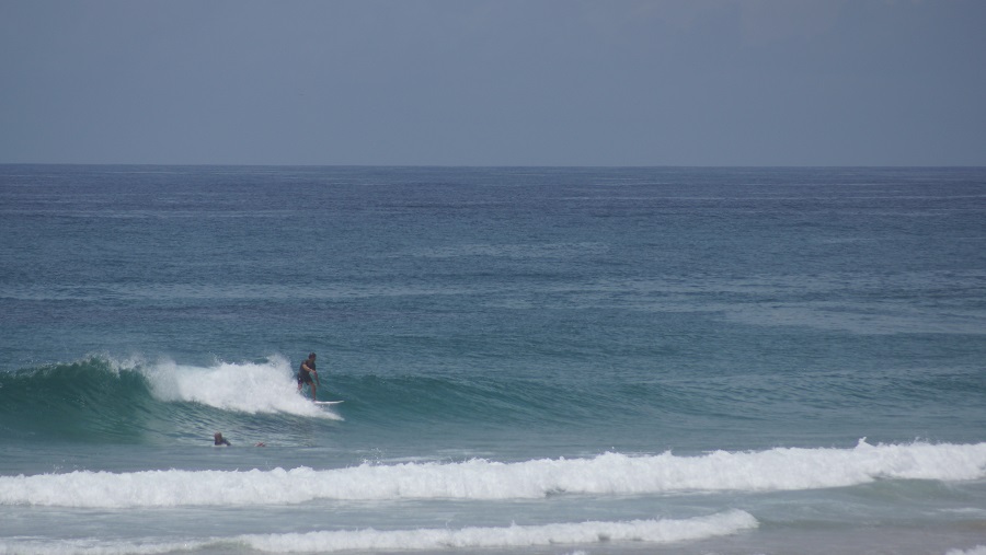 DSC09817.JPG