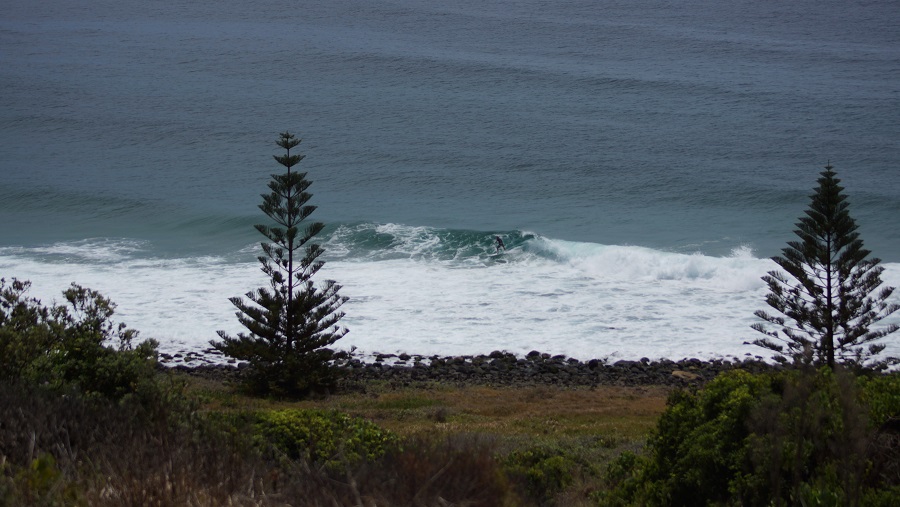 DSC09834.JPG
