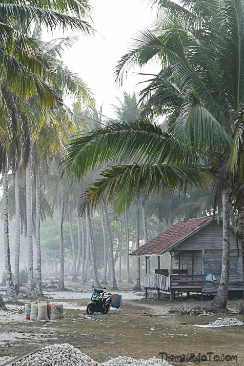 Indo_1019-31.jpg