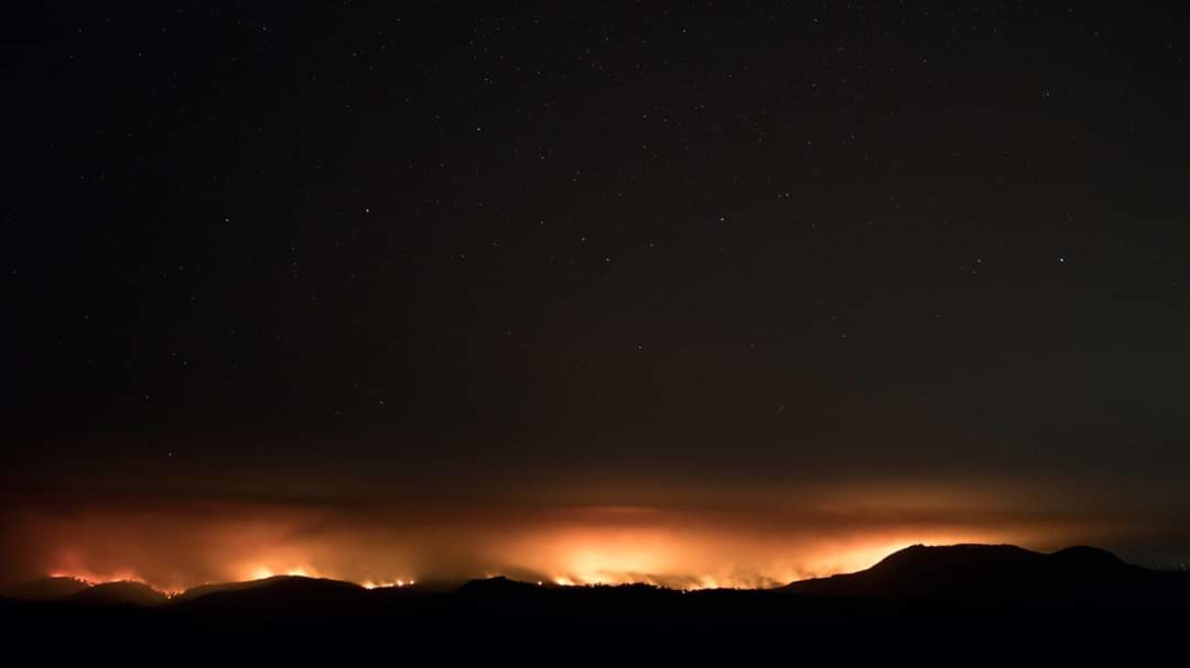 FB_IMG_1578139263656.jpg FB_IMG_1578139263656.jpg