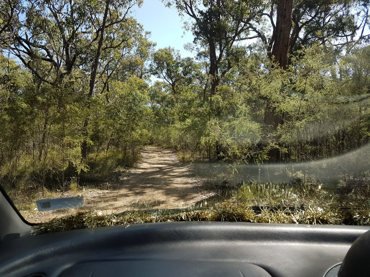 road.jpg
